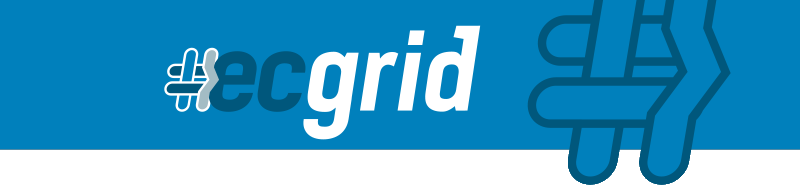 ECGrid by Loren Data Corp.